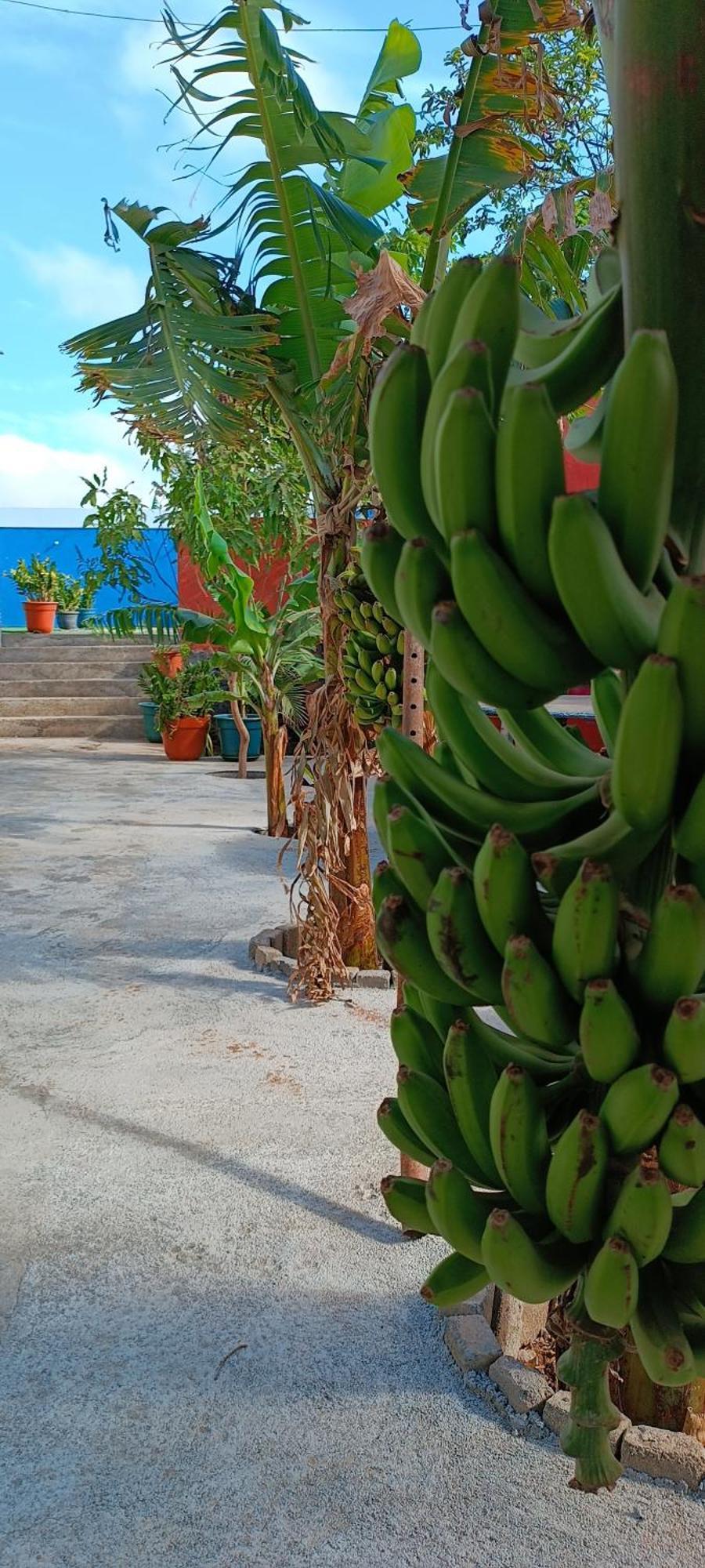 Residencia Aguia Villa Praia Bagian luar foto